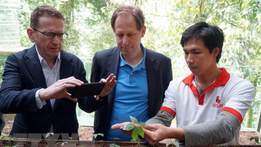 Foreign experts inspect Ngoc Linh ginseng cultivation in Quang Nam